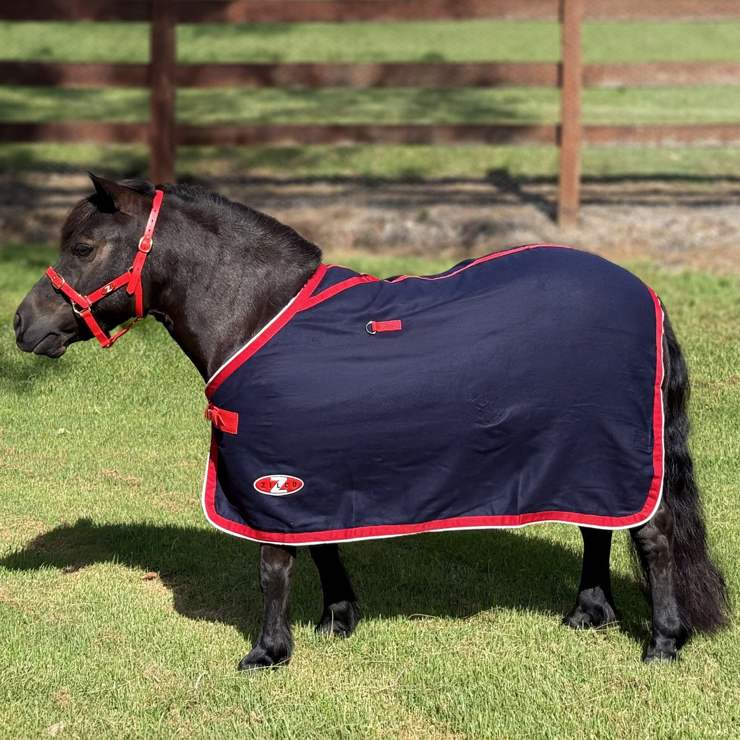 Zilco Min Stadium Wool Rug