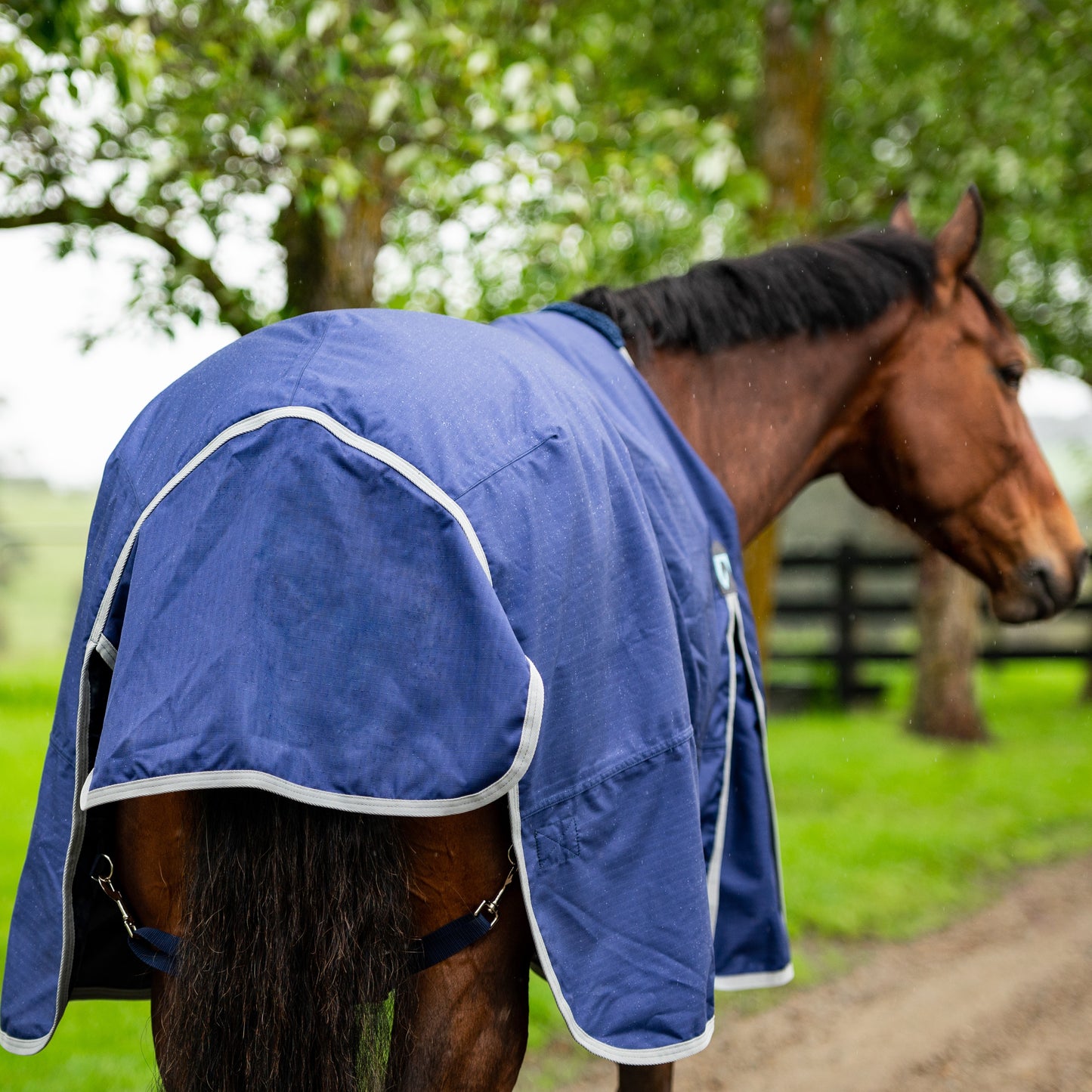 EQ Armour Ascent 600D 180g Rug - EQ Saddlery