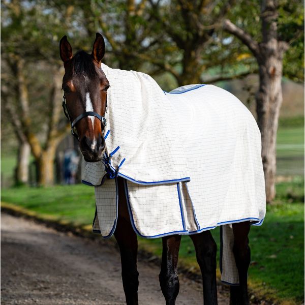 Devon Summer Deluxe Combo - EQ Saddlery