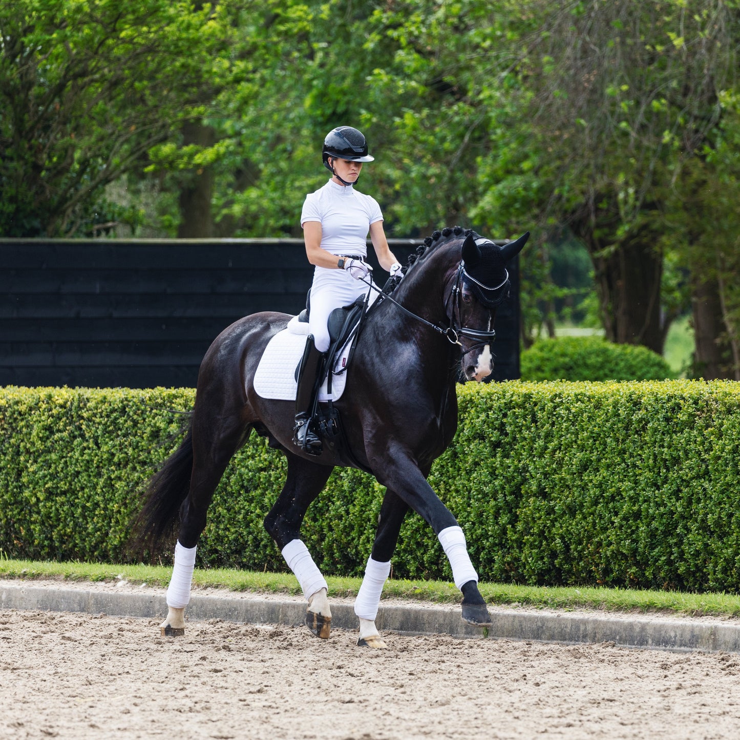 LeMieux Suede Square Dressage Saddle Pad - EQ Saddlery