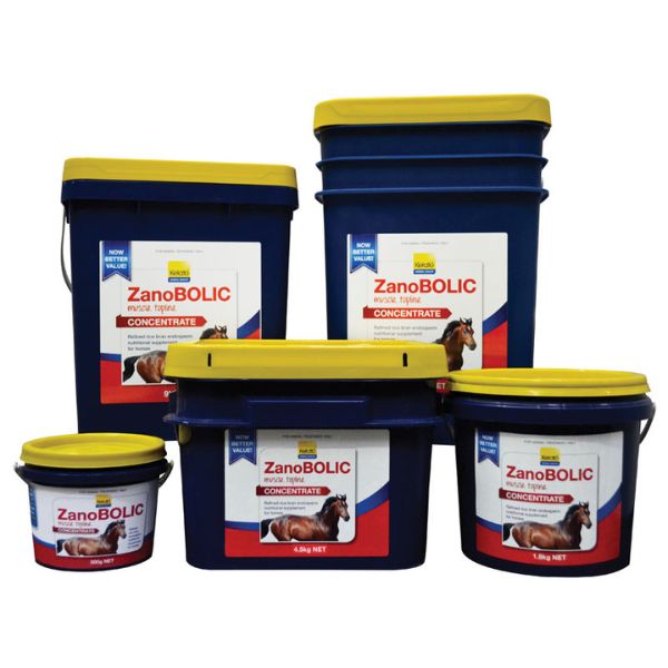 Kelato Zanobolic Concentrate - EQ Saddlery