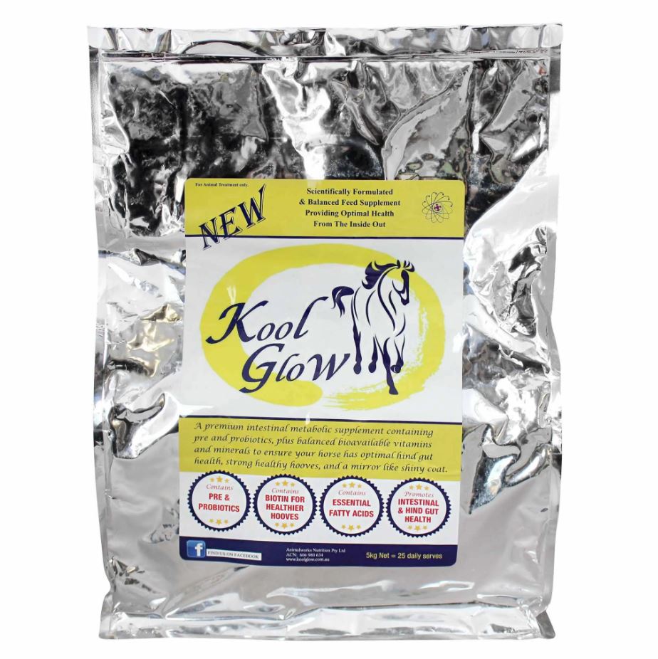 Kool Glow - EQ Saddlery