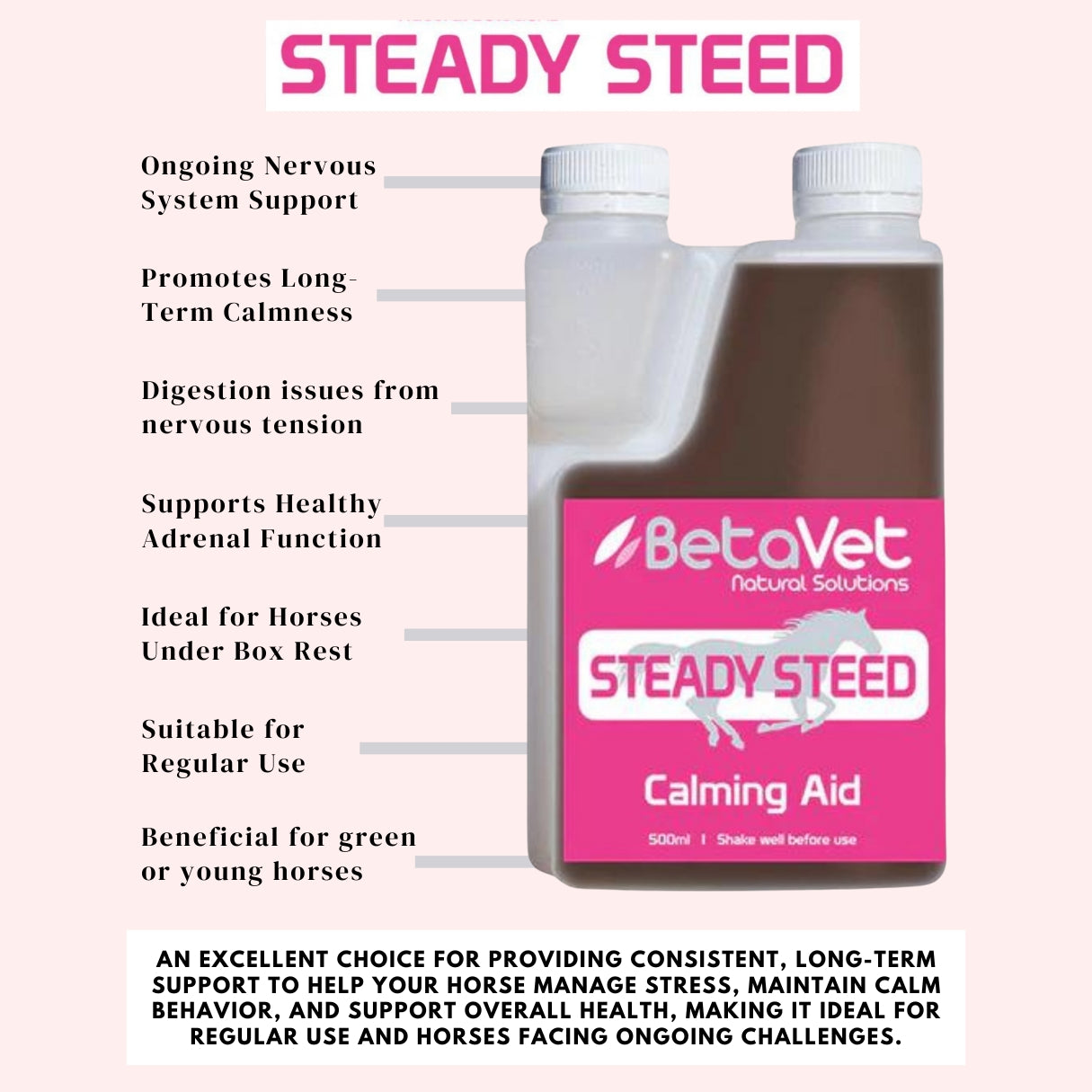 BetaVet Steady Steed - EQ Saddlery