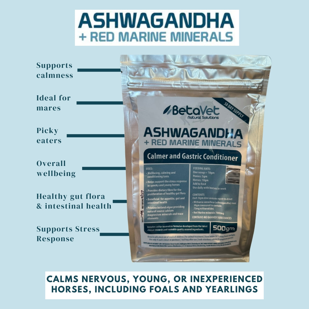 BetaVet Ashwagandha - EQ Saddlery