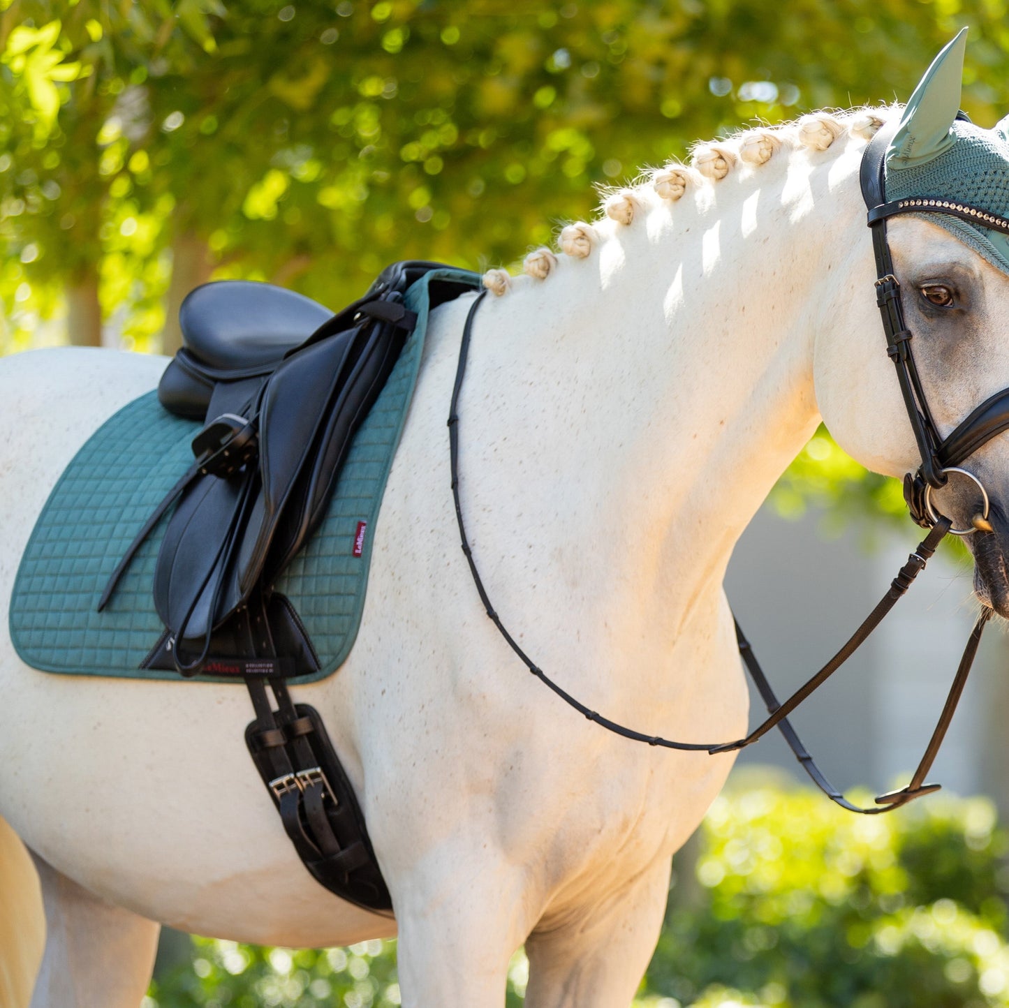 LeMieux Suede Square Dressage Saddle Pad - EQ Saddlery