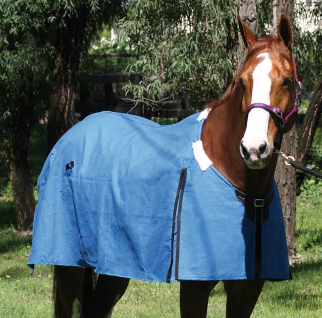Zilco Rip Protect Rug - EQ Saddlery