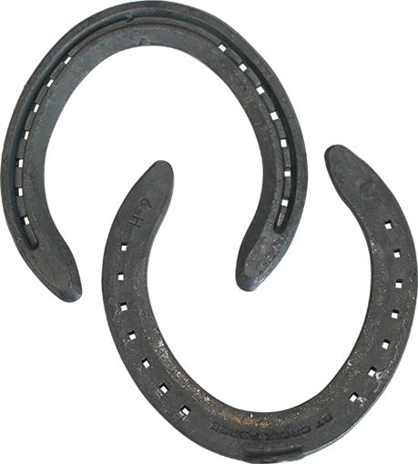 Concorde Steel Toe Clip Hind Steel Horse Shoes - EQ Saddlery