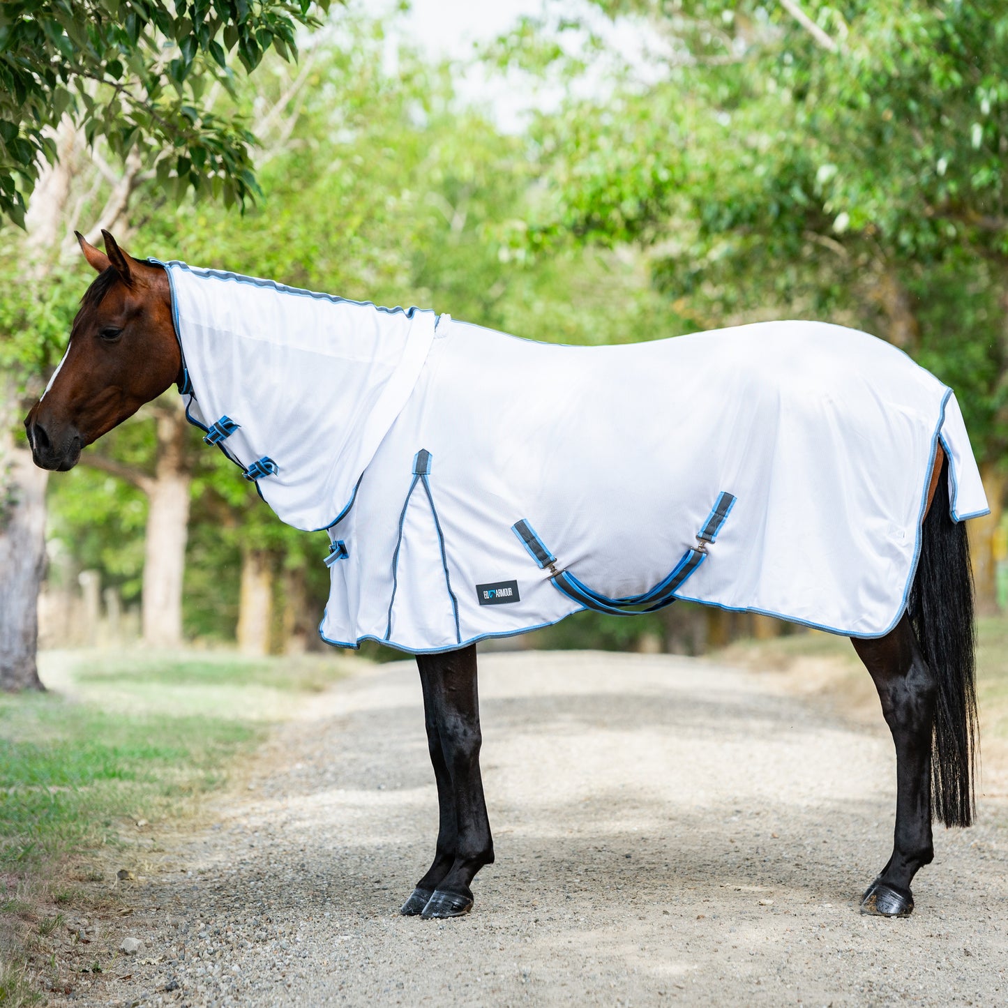 EQ Armour Mesh Combo - EQ Saddlery