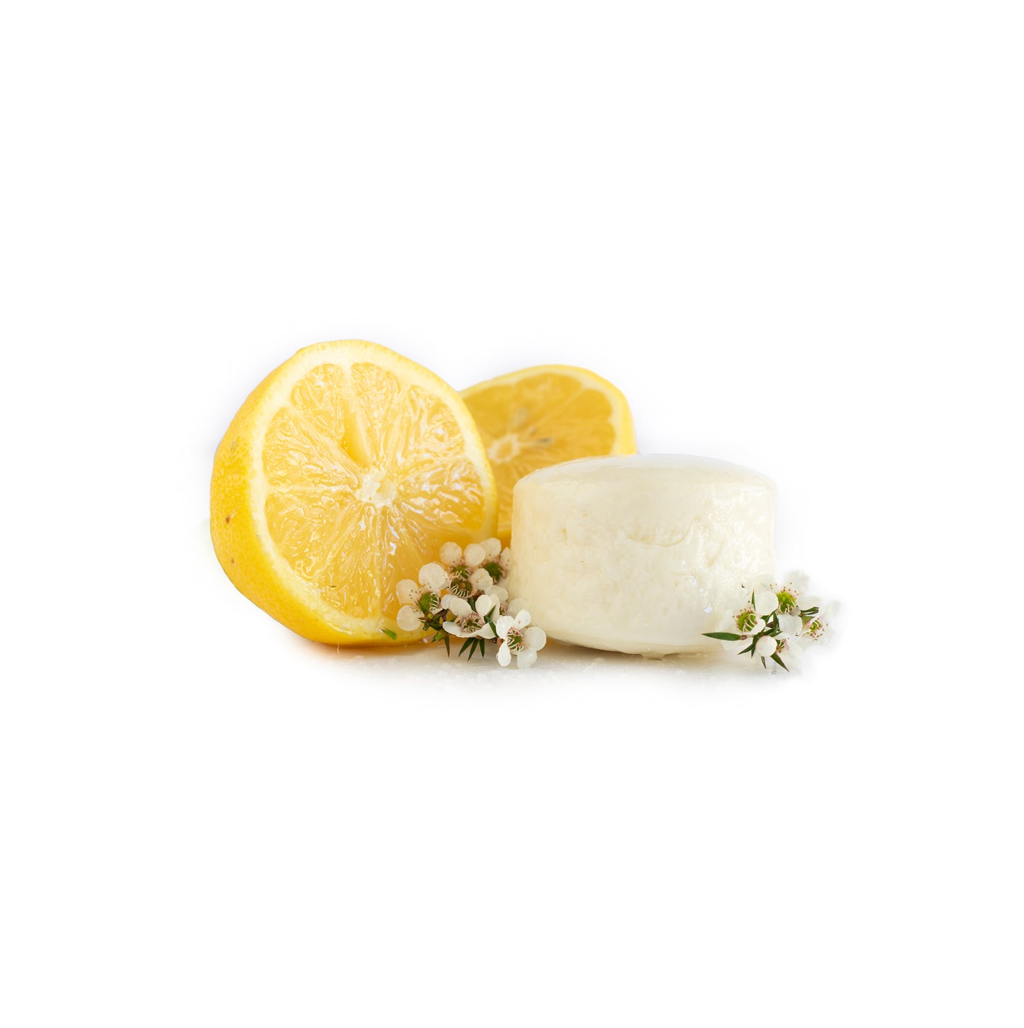 Hairy Pony Antibacterial Original Shampoo Bar Tea Tree and Lemon Myrtle - EQ Saddlery