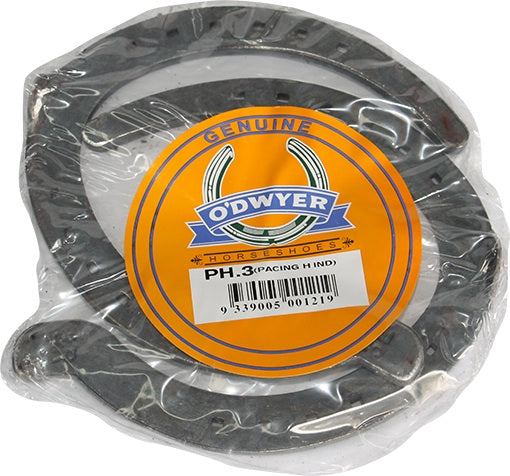 Pacing Hind Steel Horse Shoes - EQ Saddlery