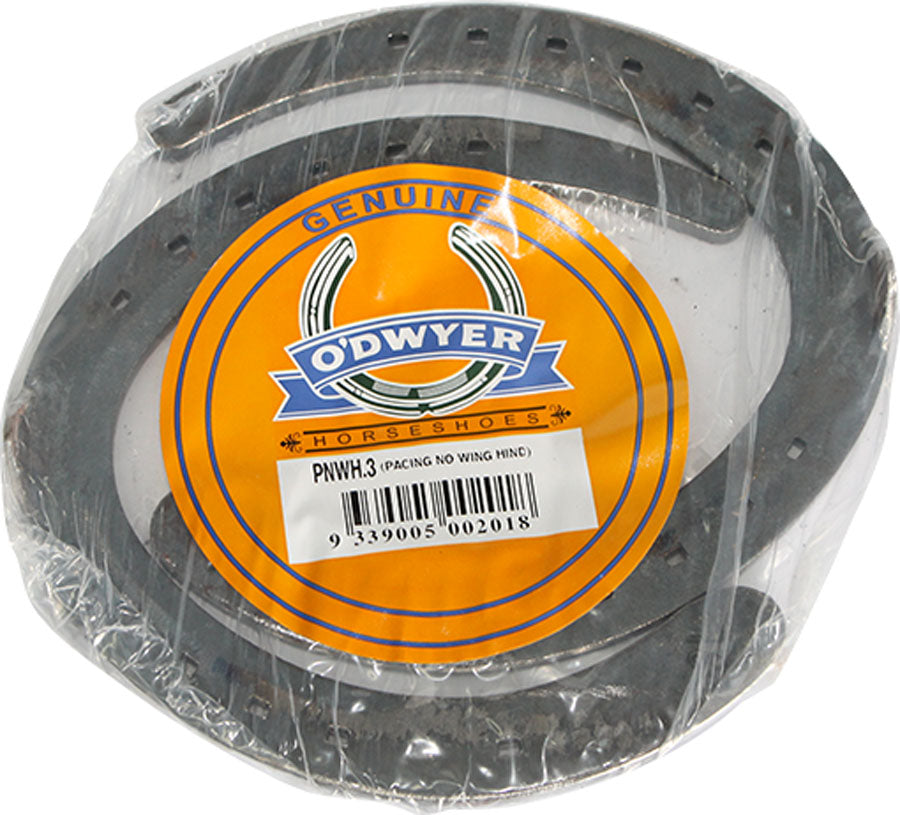 Pacing No Wing Hind Steel Horse Shoes - EQ Saddlery