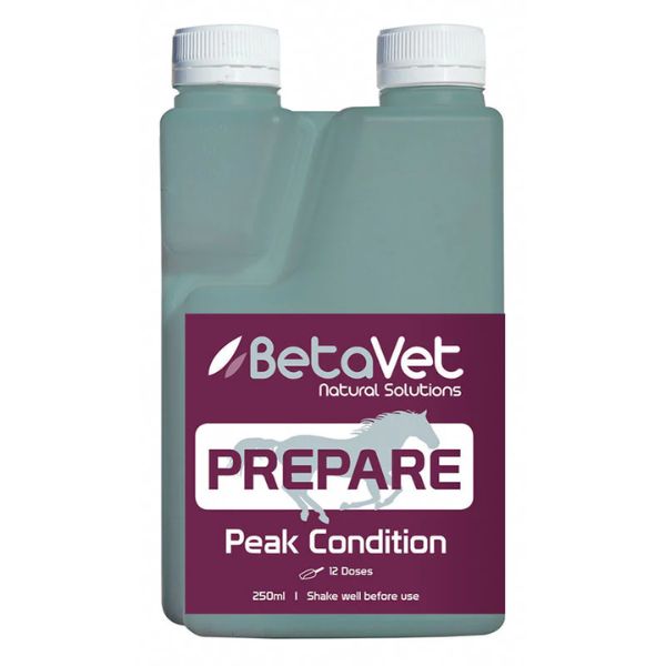 BetaVet Prepare - EQ Saddlery