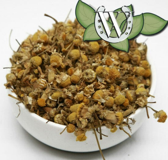 Chamomile - EQ Saddlery