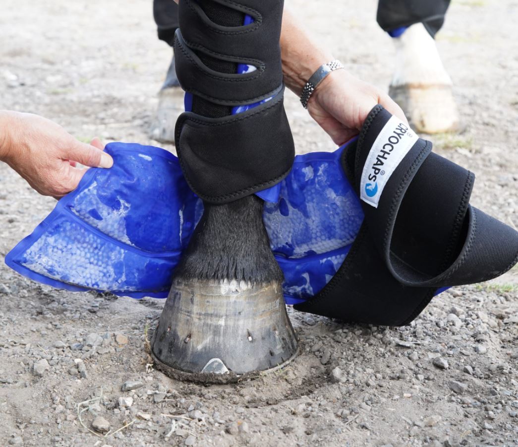 Cryochaps Absolute Ice Wraps Pastern Hocks Knees Pair EQ Saddlery