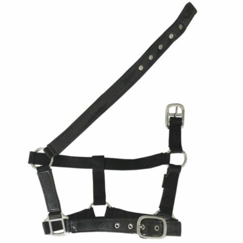 Derby Rexeen Sparkle Padded Halter - EQ Saddlery