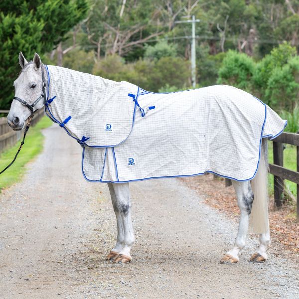 Derby Summer Deluxe Cotton Rug - EQ Saddlery