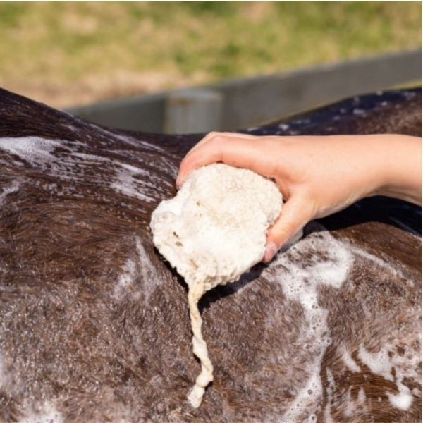 Hairy Pony Floral Shampoo Bar Rose Geranium - EQ Saddlery