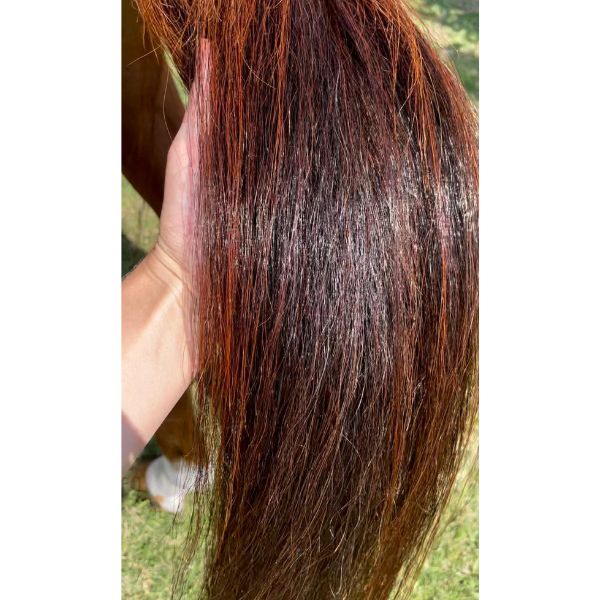 Hairy Pony Silky Serum - EQ Saddlery