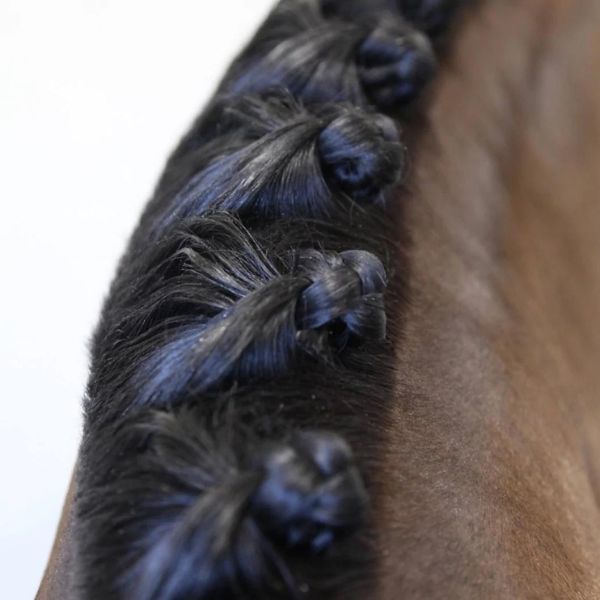 Hairy Pony Taming Wax - EQ Saddlery