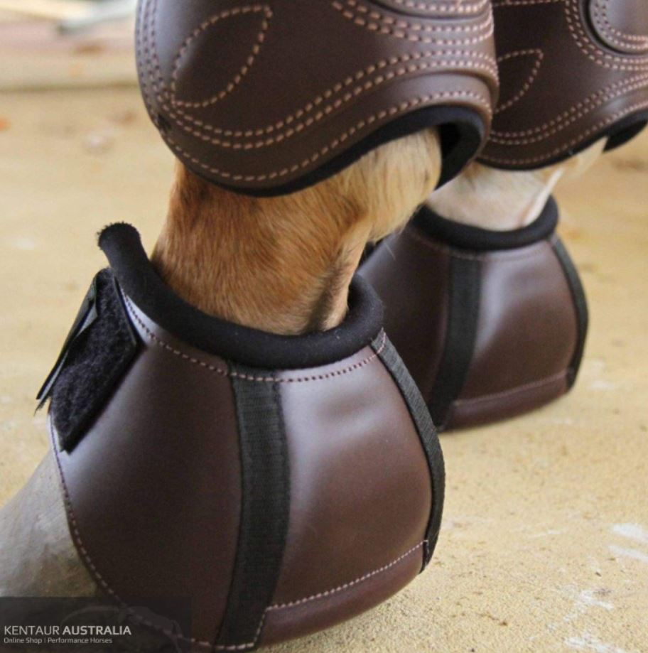 Kentaur Anatomic Leather Bell Boots - EQ Saddlery