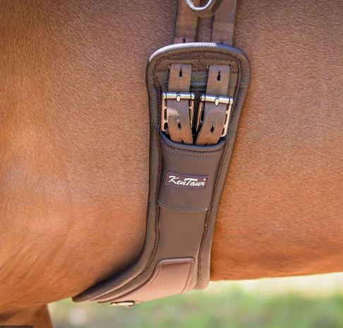 Kentaur Padova Extra Soft Dressage Girth - EQ Saddlery