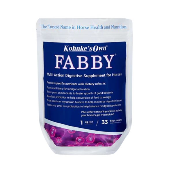 Kohnkes Fabby - EQ Saddlery