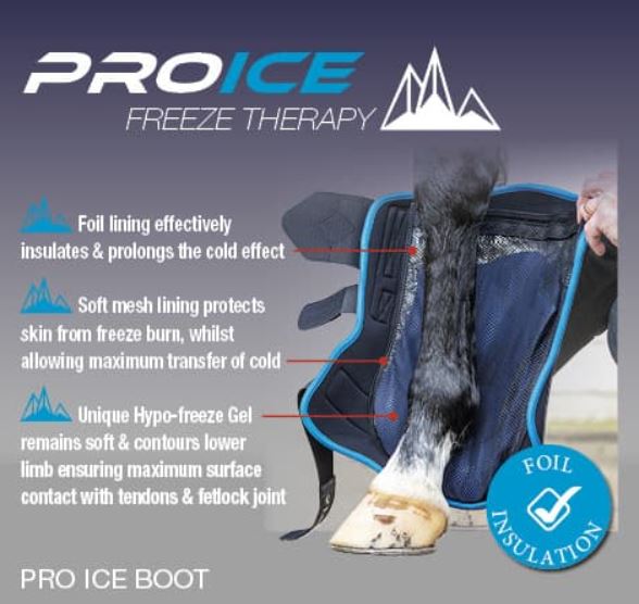 LeMieux ProIce Freeze Boots