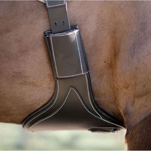 Lumiere Adjustable Stud Girth - EQ Saddlery