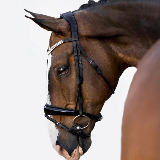 Lumiere Amie Hanoverian Rolled Leather Bridle with Rolled Reins