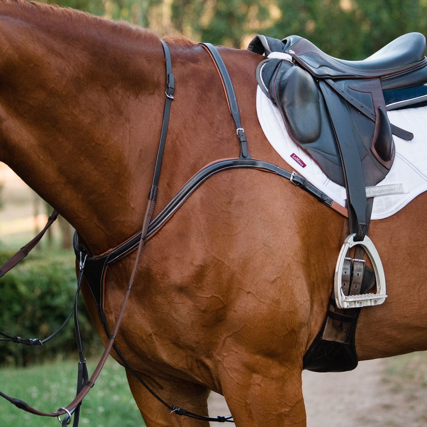 Lumiere Anka Breastplate - EQ Saddlery