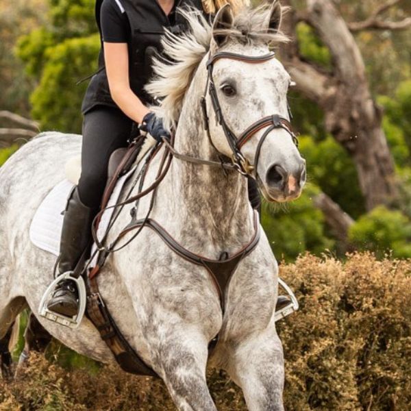 Lumiere Anka Breastplate - EQ Saddlery