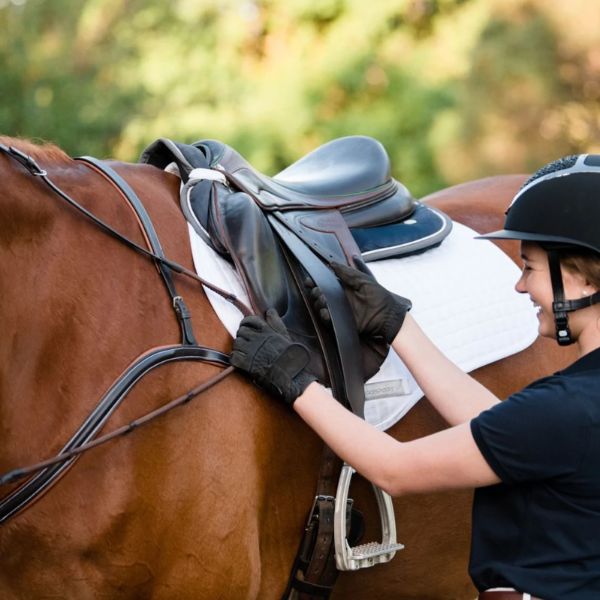 Lumiere Stability Jump Stirrup Leathers - EQ Saddlery