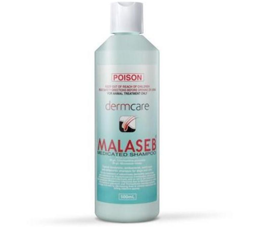 Malaseb Shampoo 500ml