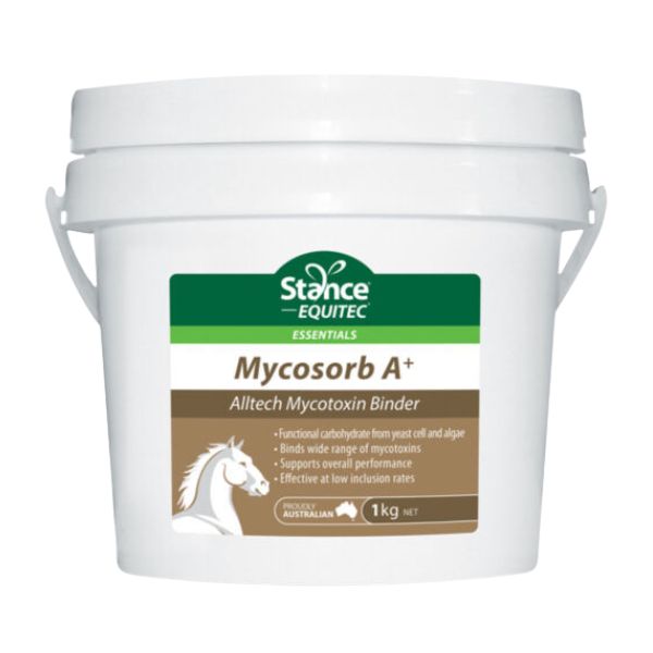 Stance Essentials Mycosorb A+ - EQ Saddlery