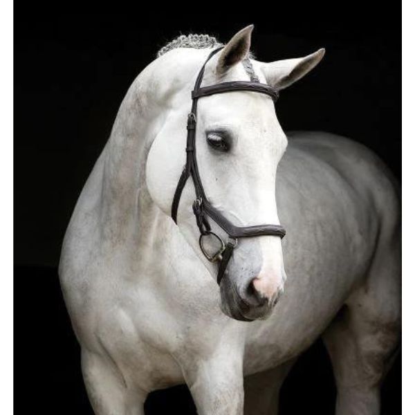 Rambo Micklem Deluxe Competition Bridle - EQ Saddlery