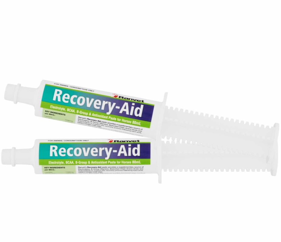 Ranvet Recovery Aid Paste - EQ Saddlery