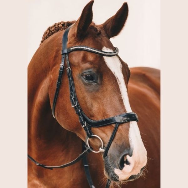 Schockemohle Equitus Omega Anatomic Bridle - EQ Saddlery