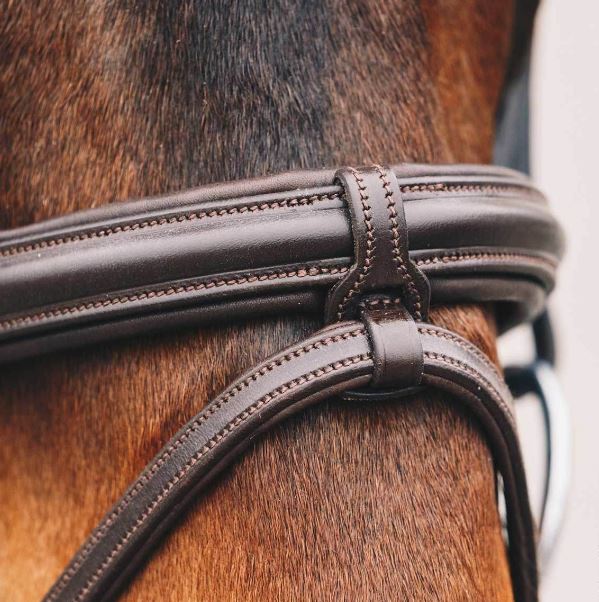 Schockemohle Tokyo Select Anatomical Bridle - EQ Saddlery