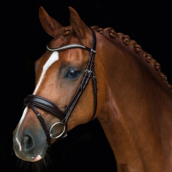 Schockemohle Stanford Bridle - EQ Saddlery