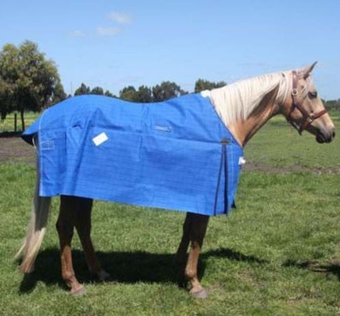 Skye Park Oxford Unlined Canvas Rug - EQ Saddlery