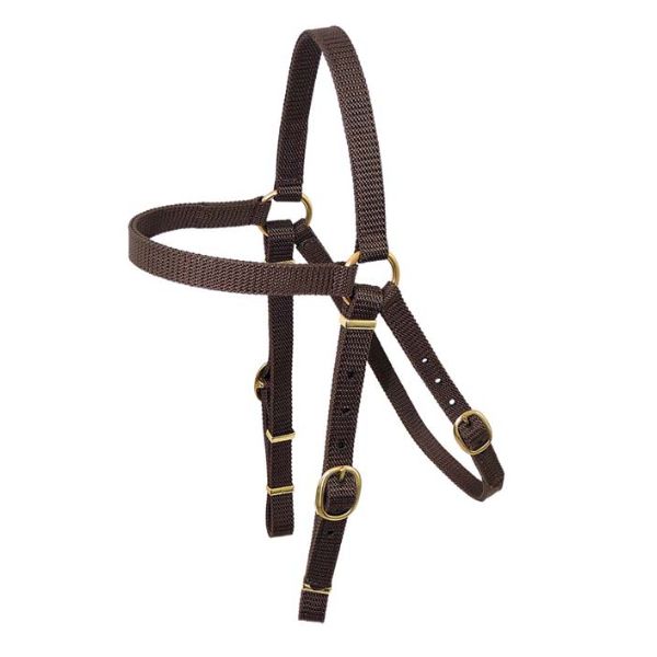 Toowoomba Nyla-Web Barcoo Bridle Head - EQ Saddlery