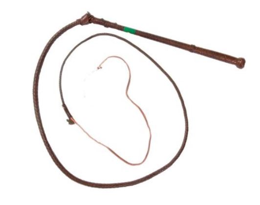 Toowoomba Saddlery Kangaroo Hide Stock Whip 12 Plait - EQ Saddlery