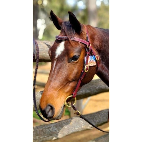Toprail Plaited Curve Browband Barcoo Bridle - EQ Saddlery