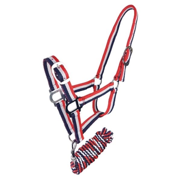Zilco Brite Halter - EQ Saddlery