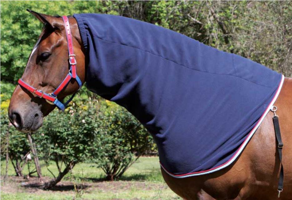 Zilco Defender Neck Sock - EQ Saddlery