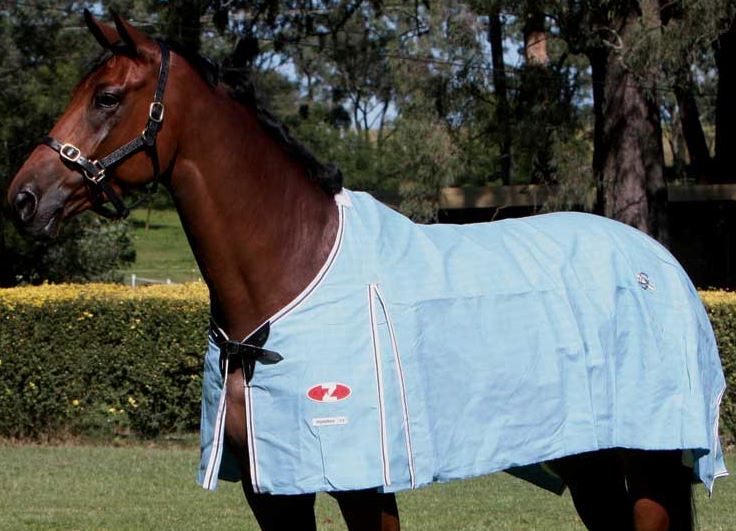 Zilco Hamilton Rain Resistant Canvas Rug - EQ Saddlery