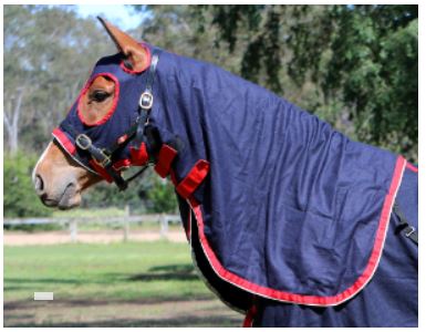 Zilco Stadium Wool Hood - EQ Saddlery