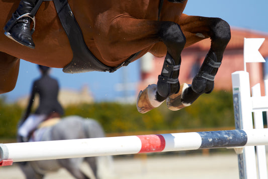 Enhancing Joint Health and Mobility in Horses: The Role of Hyaluronic Acid and MSM