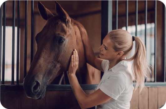 When to retire your horse? 1