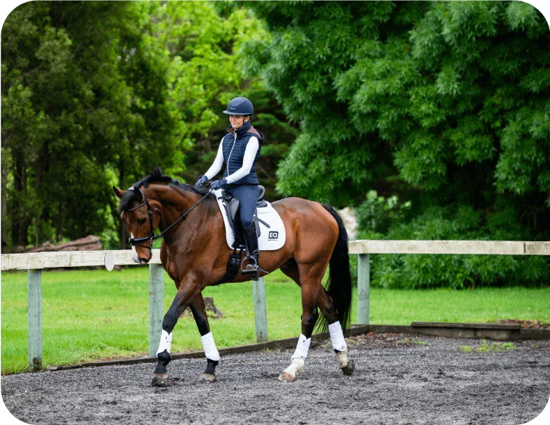 Competition Gear Regulations - EQ Saddlery